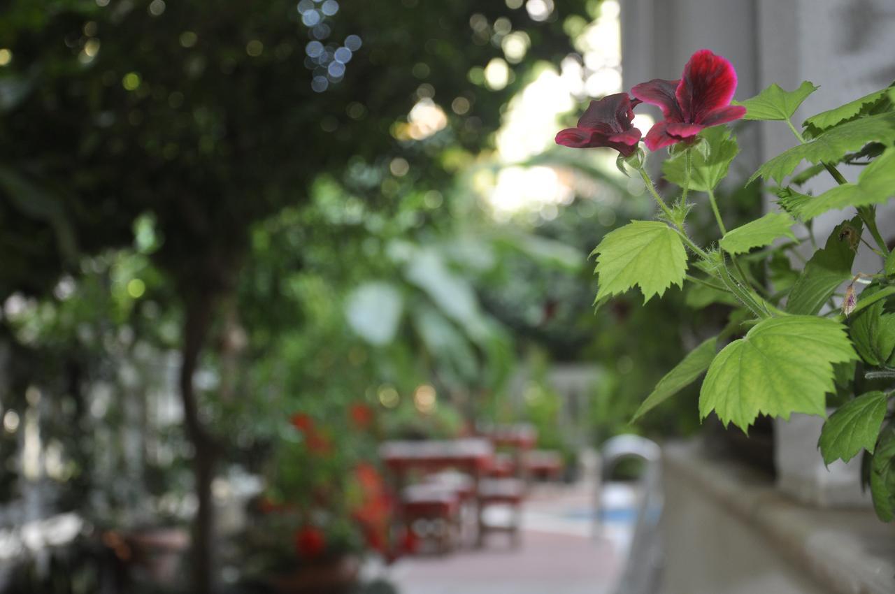 Hotel Villa Casablanca Bahtili 外观 照片