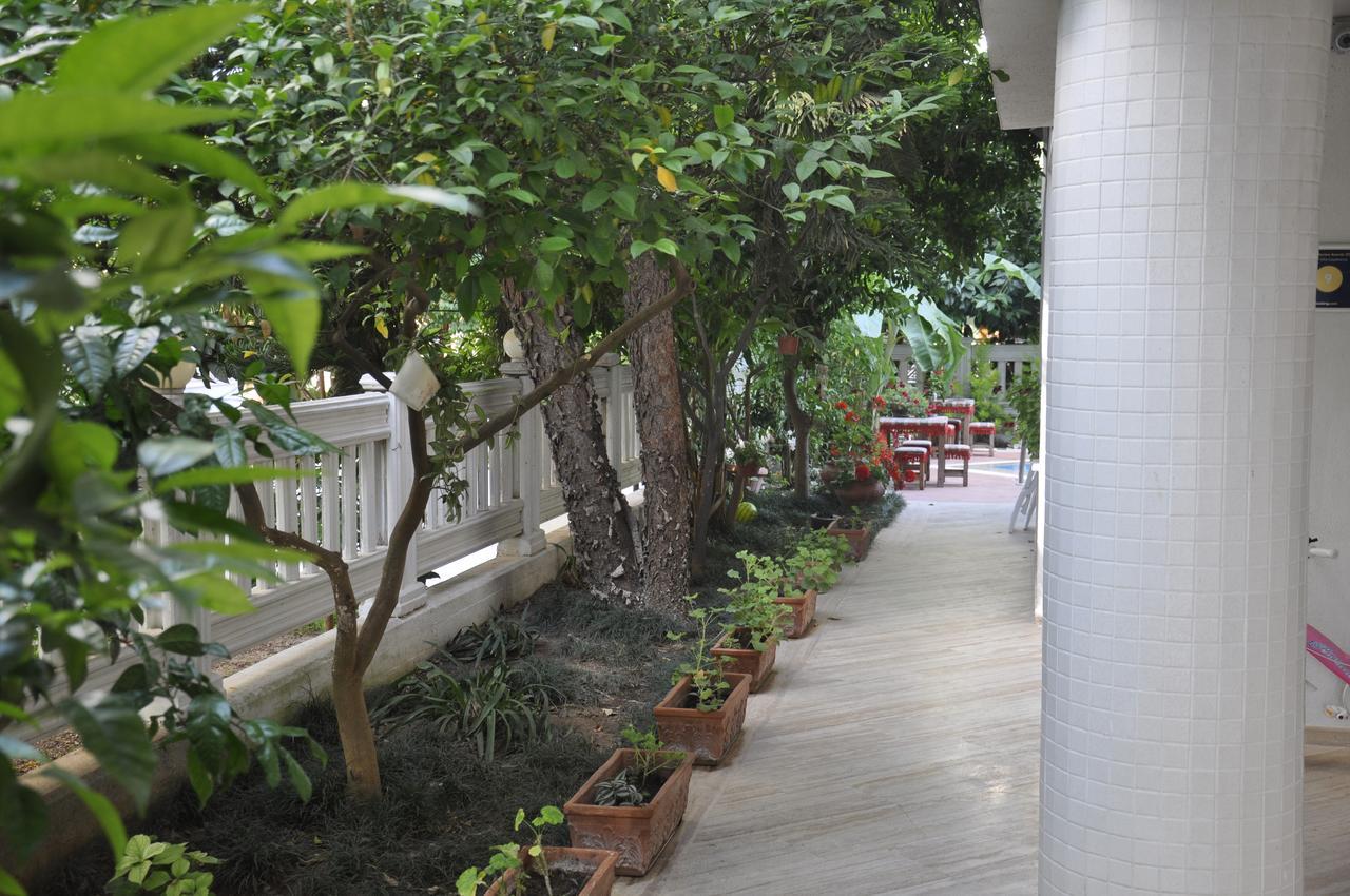 Hotel Villa Casablanca Bahtili 外观 照片